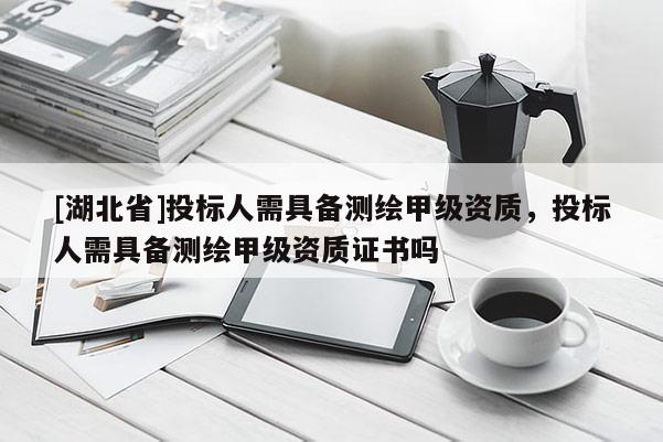 [湖北省]投標(biāo)人需具備測(cè)繪甲級(jí)資質(zhì)，投標(biāo)人需具備測(cè)繪甲級(jí)資質(zhì)證書嗎