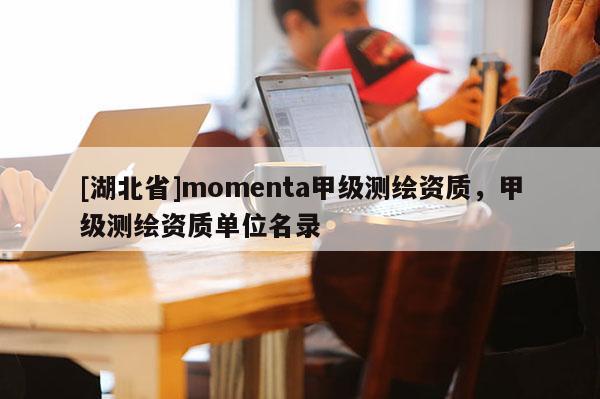 [湖北省]momenta甲級測繪資質，甲級測繪資質單位名錄