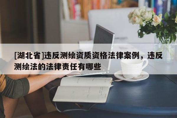 [湖北省]違反測繪資質資格法律案例，違反測繪法的法律責任有哪些