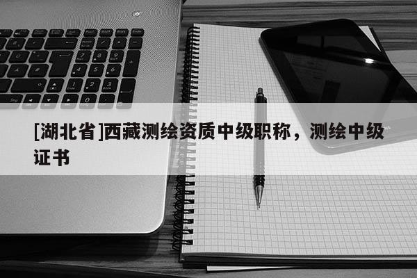 [湖北省]西藏測繪資質中級職稱，測繪中級證書