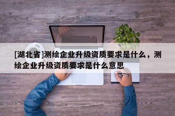 [湖北省]測繪企業升級資質要求是什么，測繪企業升級資質要求是什么意思