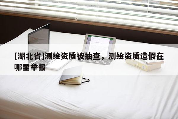[湖北省]測繪資質被抽查，測繪資質造假在哪里舉報