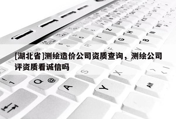 [湖北省]測繪造價公司資質查詢，測繪公司評資質看誠信嗎