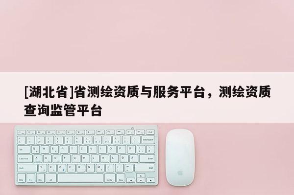[湖北省]省測繪資質與服務平臺，測繪資質查詢監管平臺
