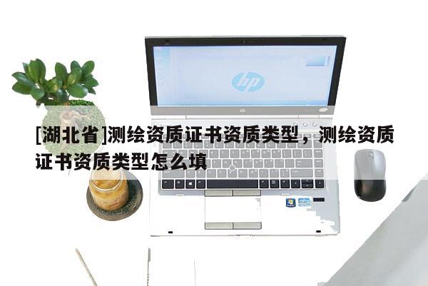 [湖北省]測繪資質證書資質類型，測繪資質證書資質類型怎么填