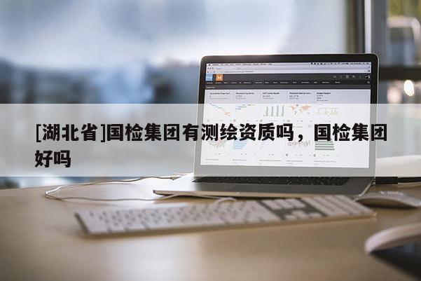 [湖北省]國檢集團有測繪資質嗎，國檢集團好嗎