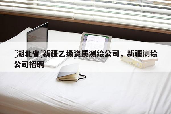 [湖北省]新疆乙級資質測繪公司，新疆測繪公司招聘