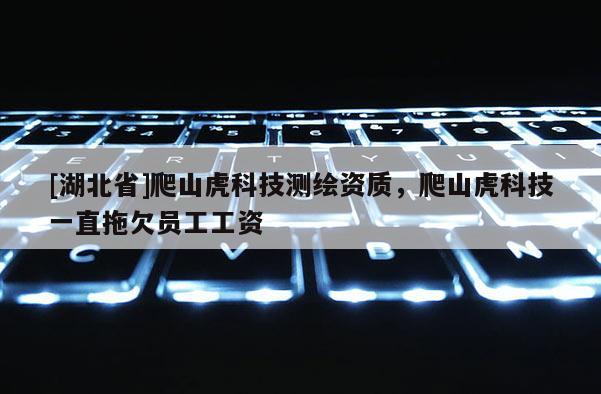 [湖北省]爬山虎科技測繪資質(zhì)，爬山虎科技一直拖欠員工工資
