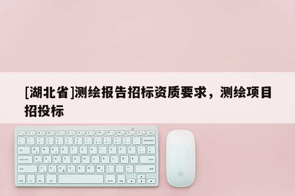 [湖北省]測繪報告招標資質要求，測繪項目招投標
