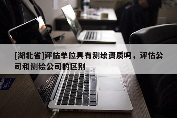 [湖北省]評估單位具有測繪資質嗎，評估公司和測繪公司的區別