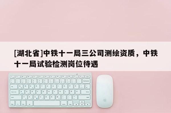 [湖北省]中鐵十一局三公司測繪資質，中鐵十一局試驗檢測崗位待遇