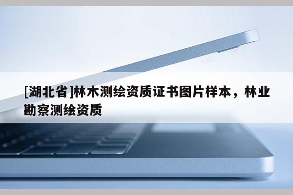 [湖北省]林木測繪資質證書圖片樣本，林業勘察測繪資質