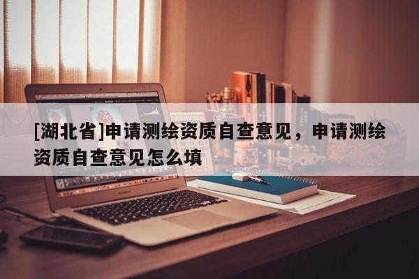 [湖北省]申請測繪資質自查意見，申請測繪資質自查意見怎么填
