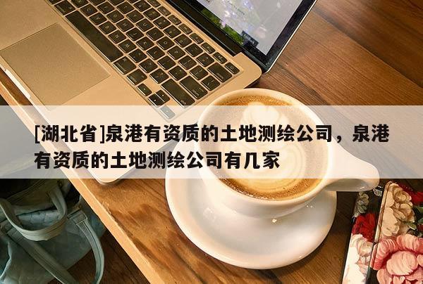 [湖北省]泉港有資質的土地測繪公司，泉港有資質的土地測繪公司有幾家