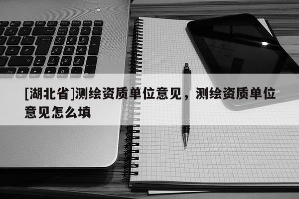 [湖北省]測(cè)繪資質(zhì)單位意見，測(cè)繪資質(zhì)單位意見怎么填