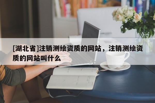 [湖北省]注銷測繪資質的網站，注銷測繪資質的網站叫什么