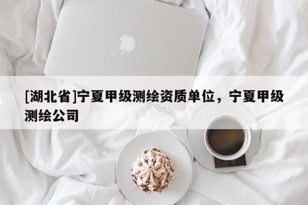 [湖北省]寧夏甲級測繪資質單位，寧夏甲級測繪公司
