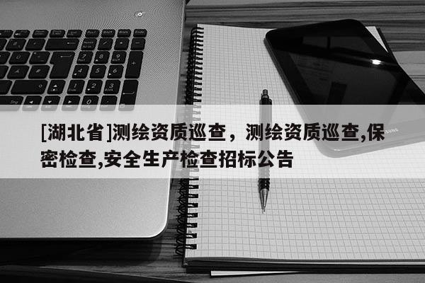 [湖北省]測繪資質巡查，測繪資質巡查,保密檢查,安全生產檢查招標公告