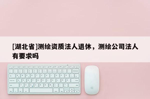 [湖北省]測繪資質法人退休，測繪公司法人有要求嗎