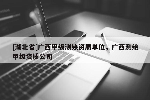 [湖北省]廣西甲級測繪資質單位，廣西測繪甲級資質公司