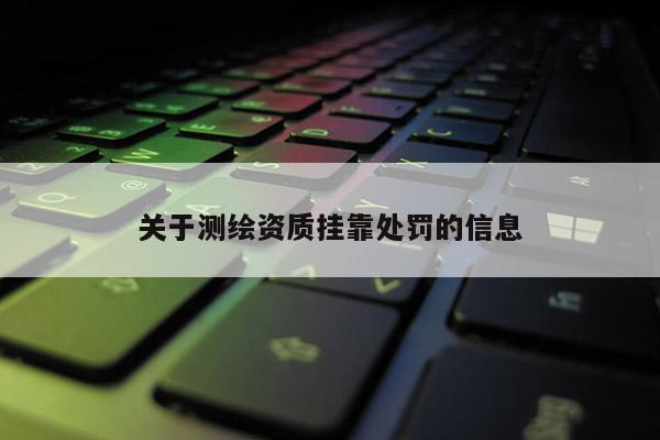 關于測繪資質掛靠處罰的信息