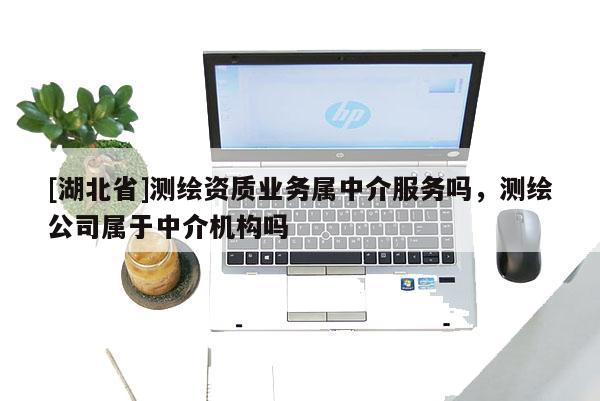 [湖北省]測繪資質業務屬中介服務嗎，測繪公司屬于中介機構嗎