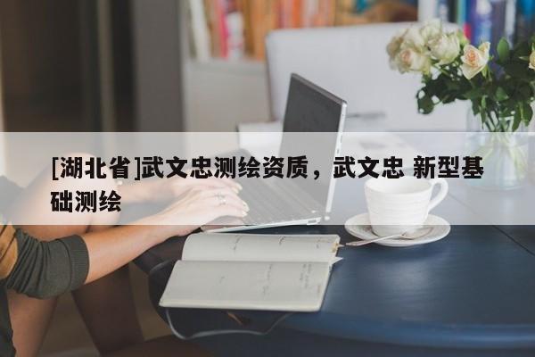 [湖北省]武文忠測繪資質，武文忠 新型基礎測繪