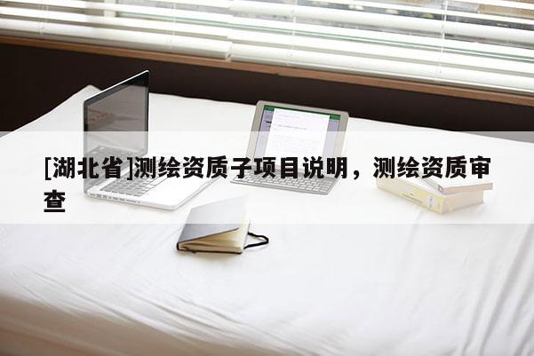 [湖北省]測繪資質子項目說明，測繪資質審查