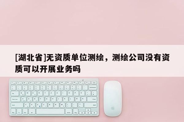 [湖北省]無資質(zhì)單位測繪，測繪公司沒有資質(zhì)可以開展業(yè)務(wù)嗎
