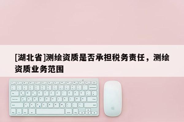[湖北省]測繪資質是否承擔稅務責任，測繪資質業務范圍