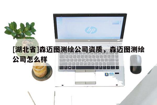 [湖北省]森邁圖測繪公司資質(zhì)，森邁圖測繪公司怎么樣