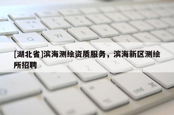 [湖北省]濱海測(cè)繪資質(zhì)服務(wù)，濱海新區(qū)測(cè)繪所招聘