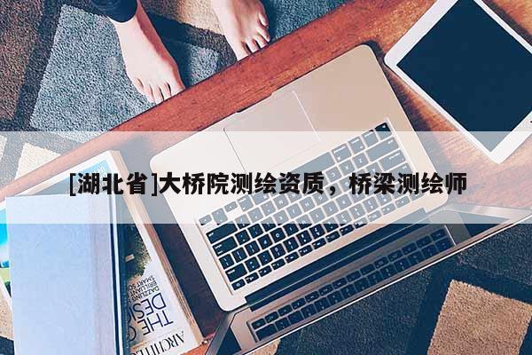 [湖北省]大橋院測繪資質，橋梁測繪師