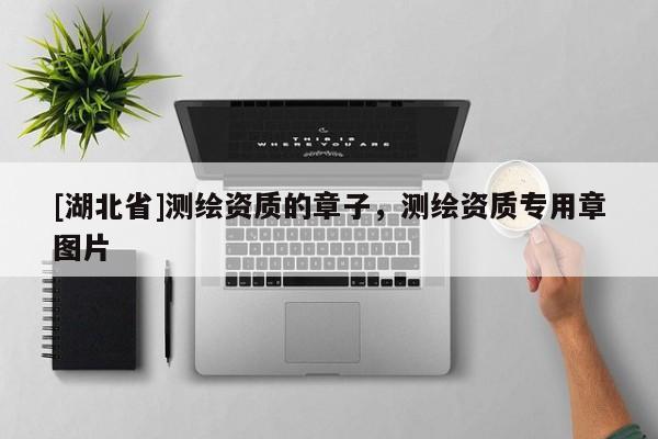 [湖北省]測繪資質(zhì)的章子，測繪資質(zhì)專用章圖片