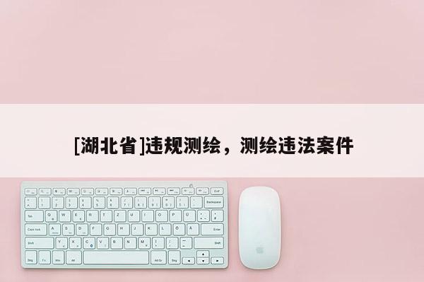 [湖北省]違規測繪，測繪違法案件